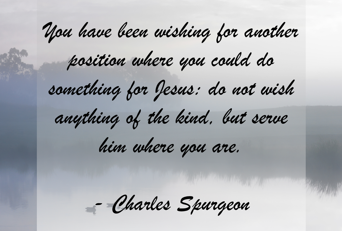 Do You Consider Yourself a Steward?