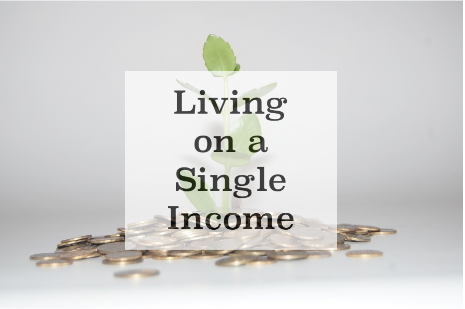 Tips to Live on A Single Income